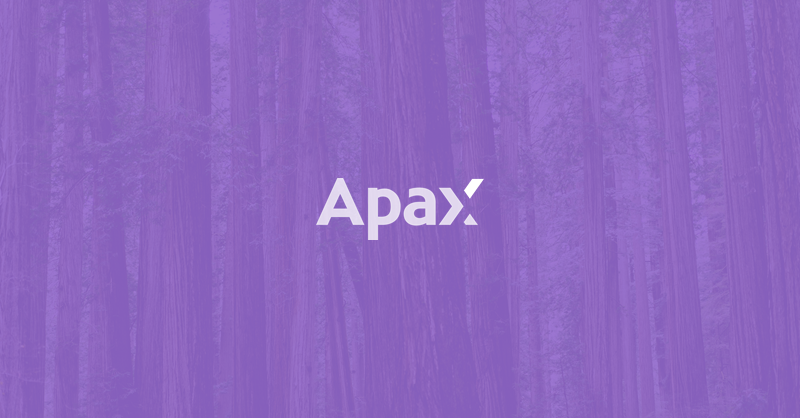 Apax Interns 2021